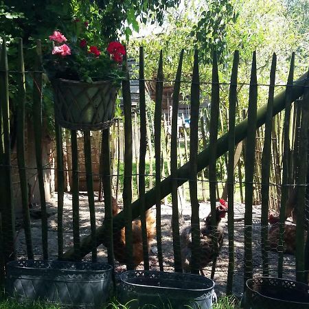 Le p'tit gîte d'Enhet Ciney Buitenkant foto