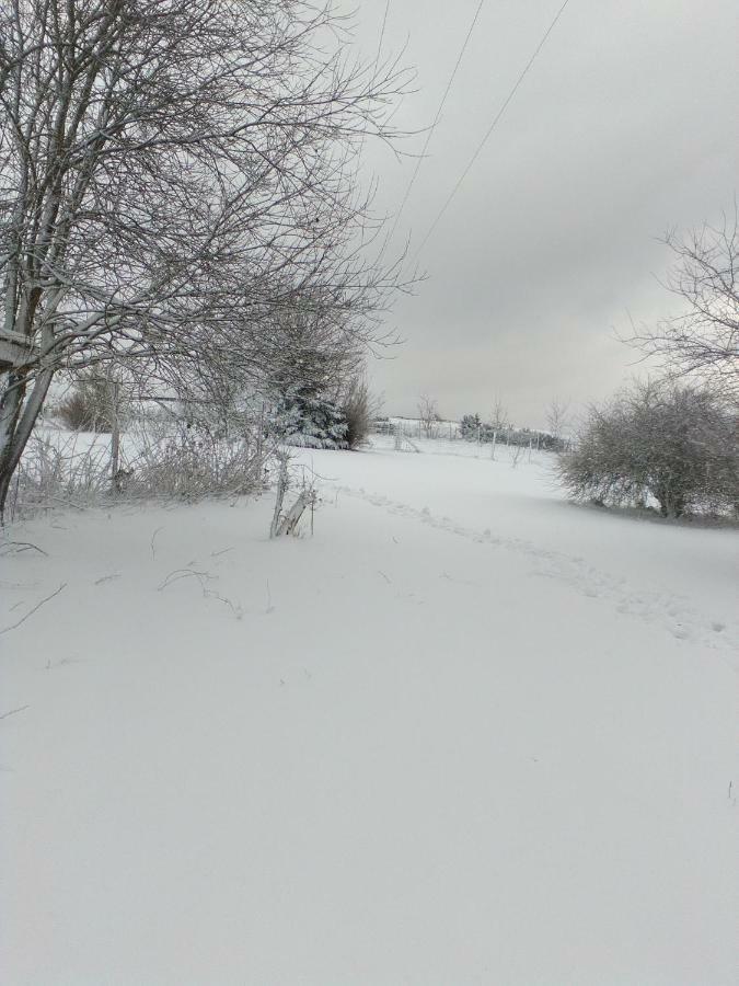 Le p'tit gîte d'Enhet Ciney Buitenkant foto