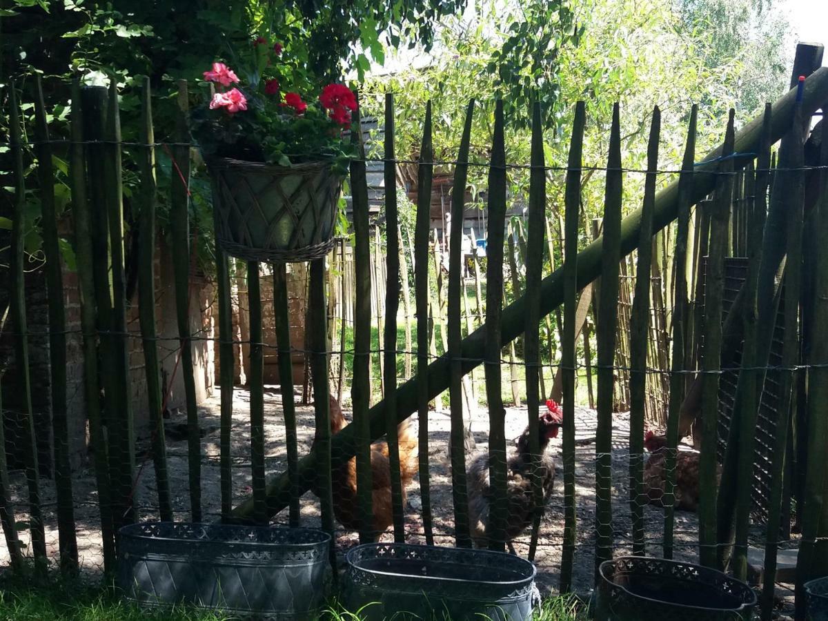 Le p'tit gîte d'Enhet Ciney Buitenkant foto